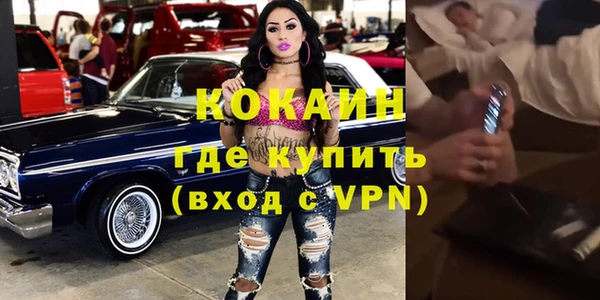крисы Алзамай