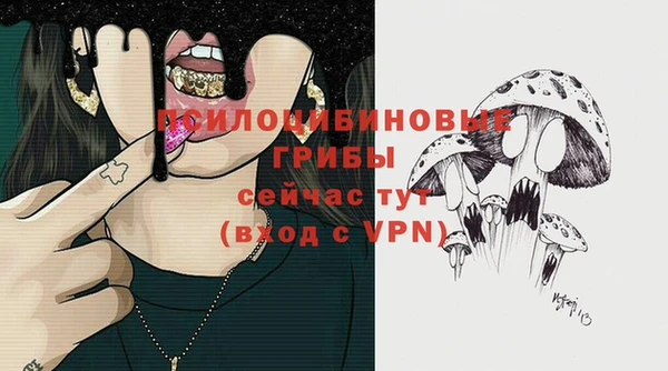 прущие грибы Алексин