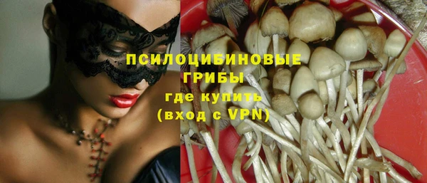 прущие грибы Алексин