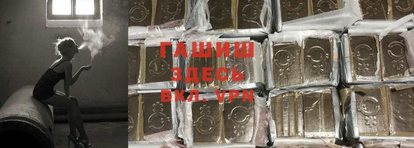 крисы Алзамай