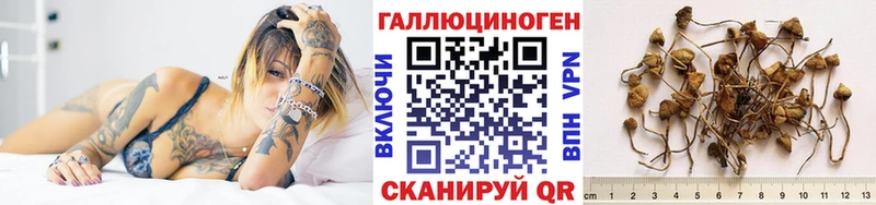 Галлюциногенные грибы MAGIC MUSHROOMS даркнет сайт Цимлянск